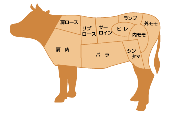 焼肉に良く使う牛肉部位の豆知識 おいしい焼肉 の紹介